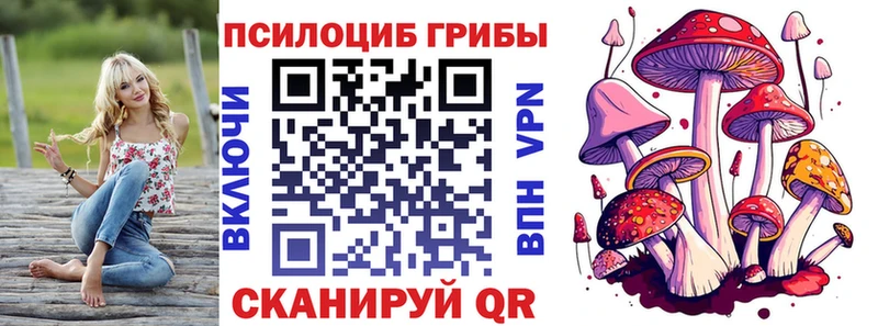 Галлюциногенные грибы Cubensis  как найти наркотики  блэк спрут сайт  мориарти как зайти  Среднеуральск 